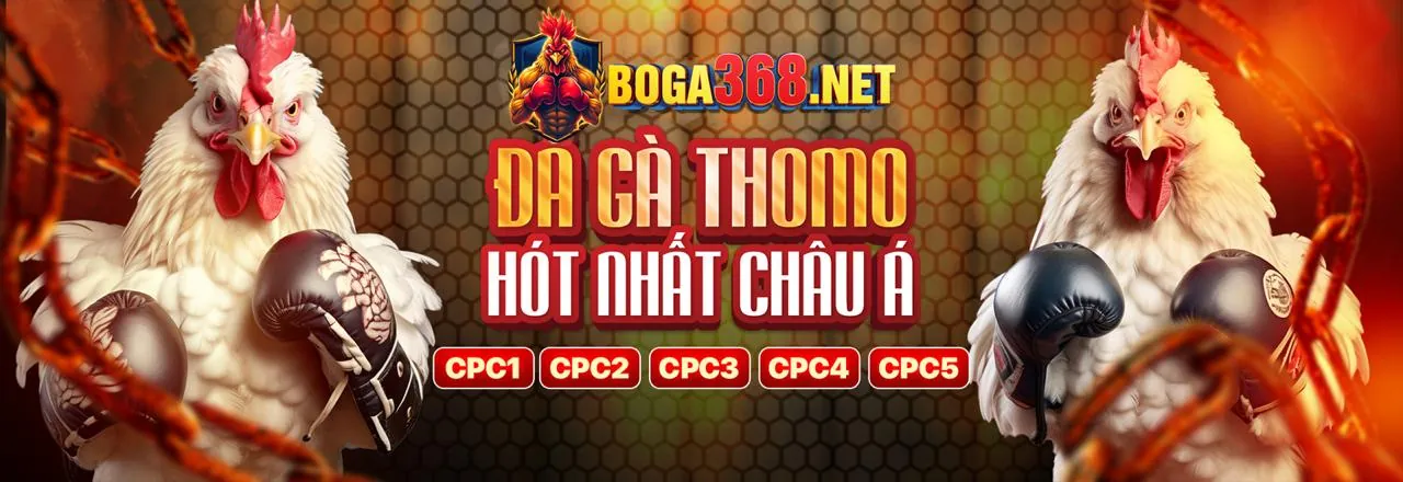 Hình ảnh tổng quan về 79yd link mới 2026 với các ưu đãi hấp dẫn